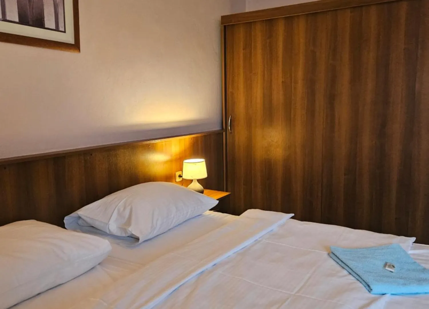 Hotel Trim パルドゥビツェ チェコ